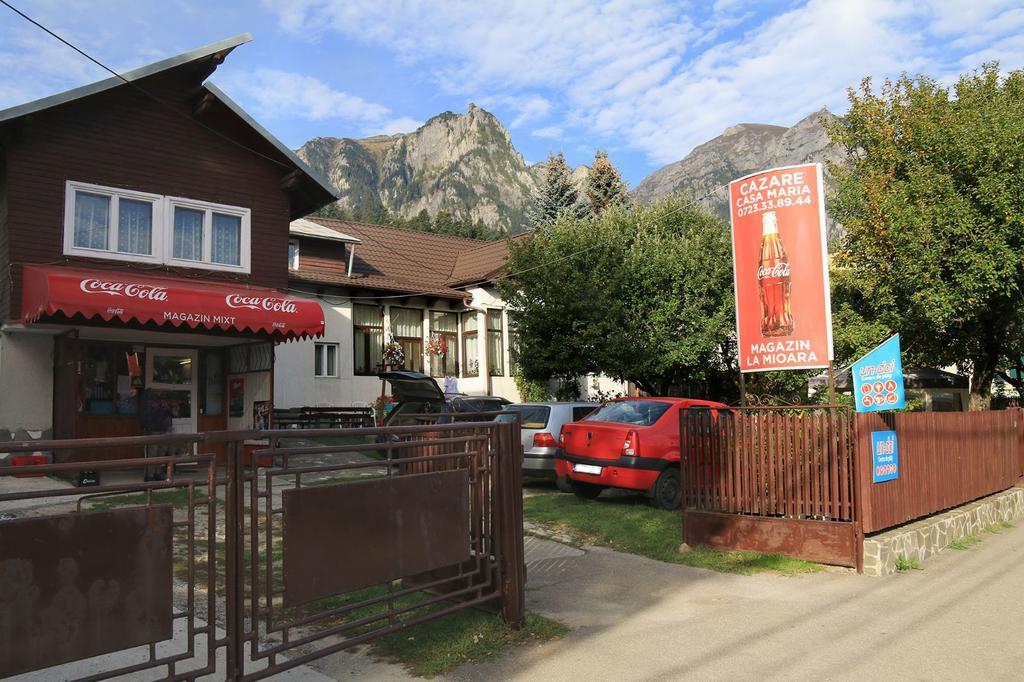 Casa Maria Busteni - Poiana Tapului Luaran gambar